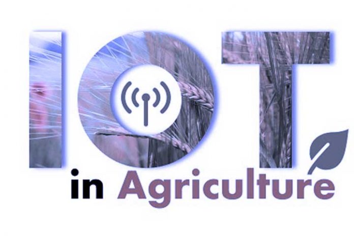 IoT-In-Agriculture-Technology-For-Smart-Crops
