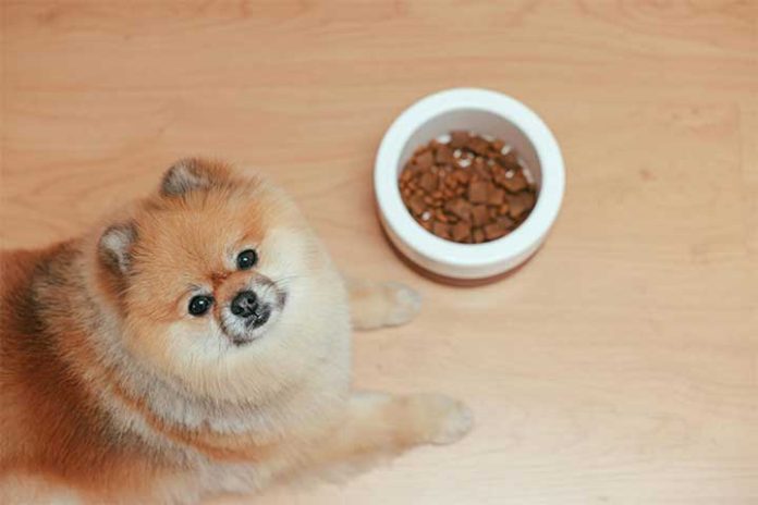 WellHealthOrganic Organic Pet Food